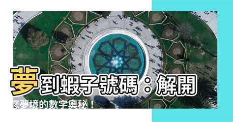 夢到蝦子號碼|夢見蝦子是什麼意思